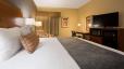 Best Western Delta Inn image 24