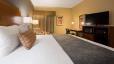 Best Western Delta Inn image 31